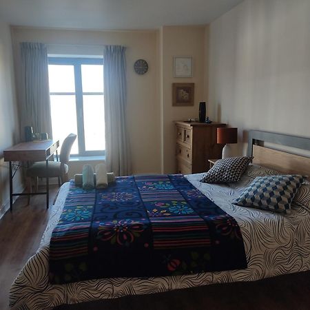 Swallows Nest - Spacious Bright Double Bedroom With Ensuite Bathroom Dublin Kültér fotó