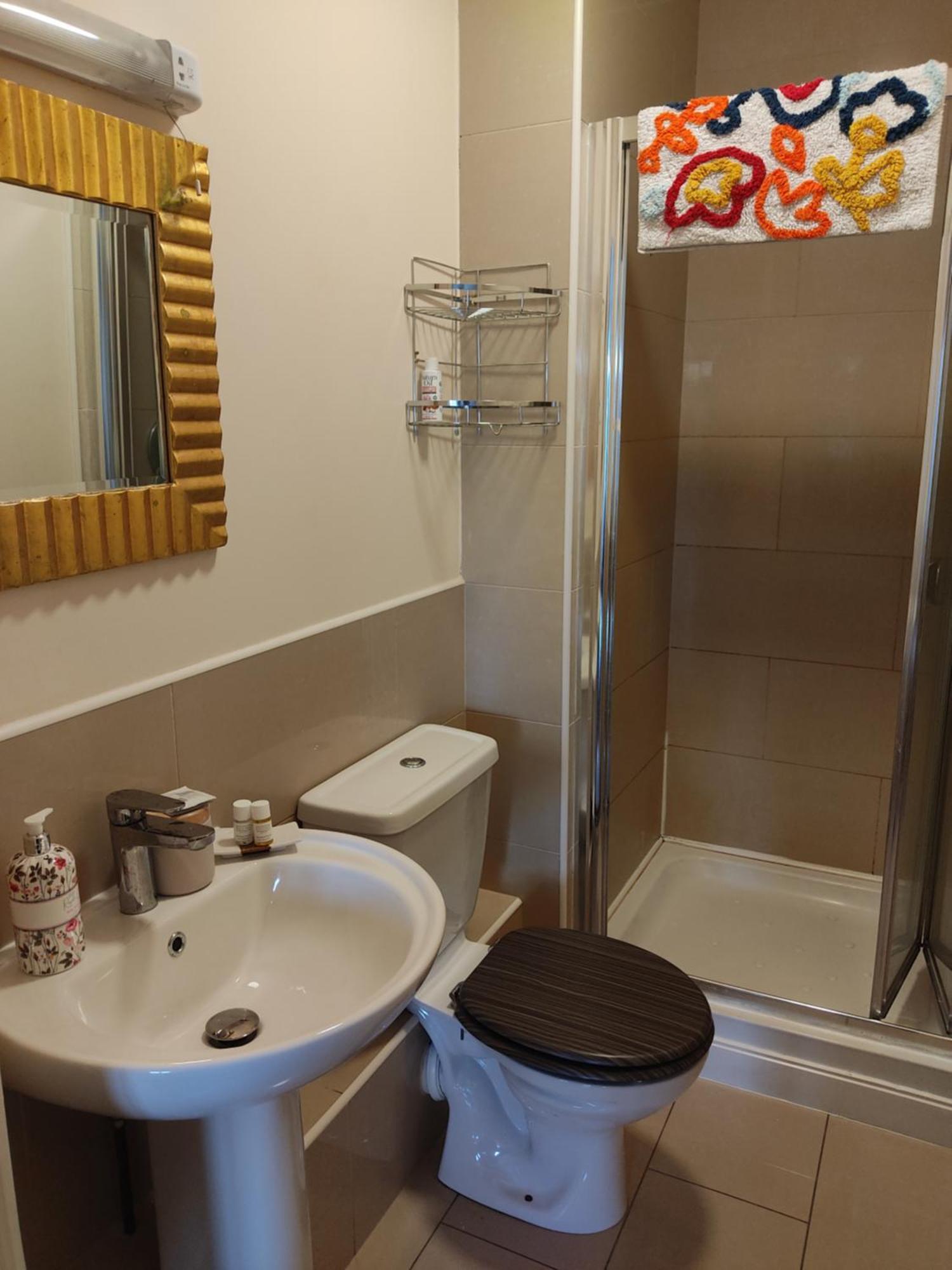Swallows Nest - Spacious Bright Double Bedroom With Ensuite Bathroom Dublin Kültér fotó